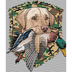 Animal Integration-DW 2693